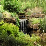garden-with-waterfall